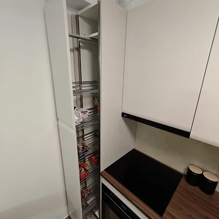 Apartment Lux Airport *